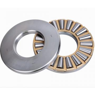 NKE K 81244-MB thrust roller bearings